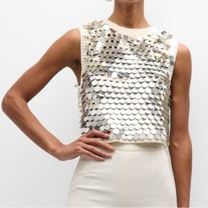 Sparkling Silver Sequin Top